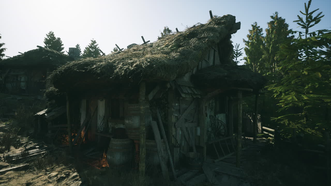 숲 속 의 은  지붕 집