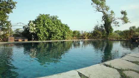 a relaxing pond in the italian countryside as birds fly overhead