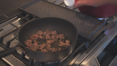 Salz-Und-Pfeffer-Zum-Hackfleisch-Hinzufügen