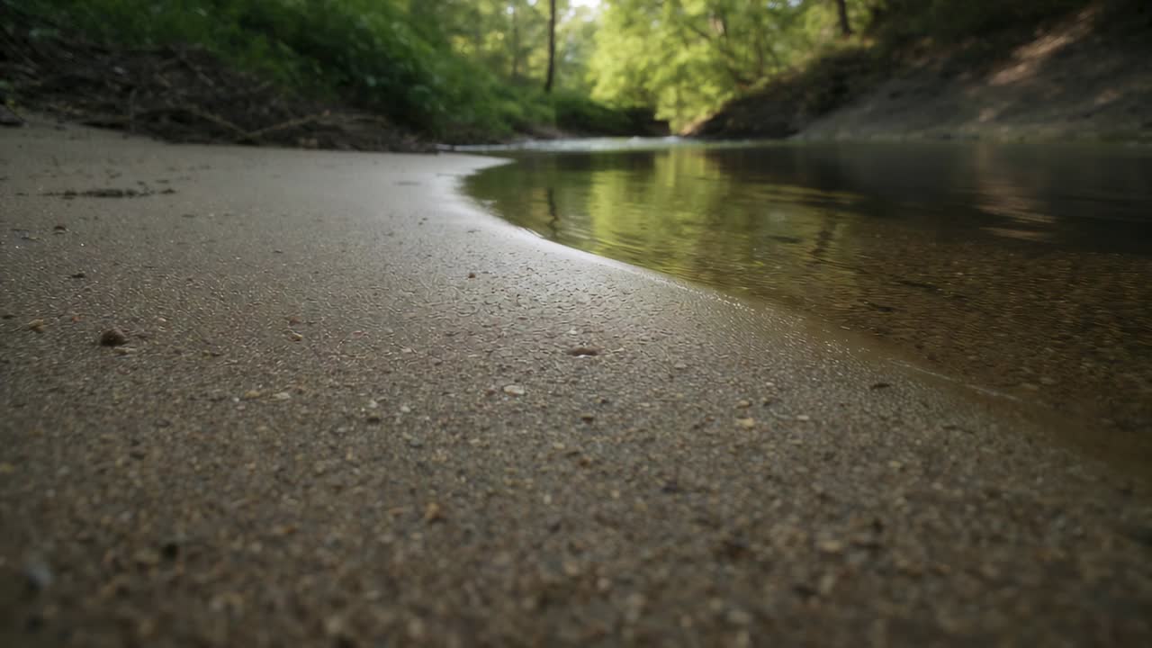 Inquadratura bassa che scorre in avanti, rivelando una distesa di sabbia bagnata con acqua di torrente che lambisce le impronte, mostrando gli alberi