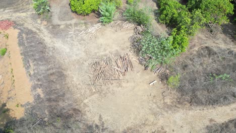 Lugar-De-Corte-De-Madera-Vista-360d-En-El-Pueblo-Malvan-Madera-Picada-Y-Camión-En-Verano-Puede-Secar-La-Tierra