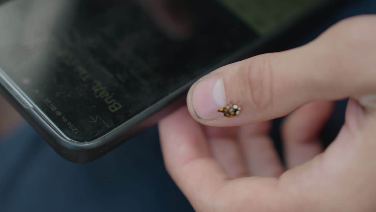 uomo caucasico con una coccinella sul pollice, macro primo piano di un minuscolo coleottero rosso appoggiato sulla pelle mentre la mano tiene uno smartphone, delicata immobilità, profondità di campo ridotta, dettagli delle unghie, luce naturale soffusa, delicato
