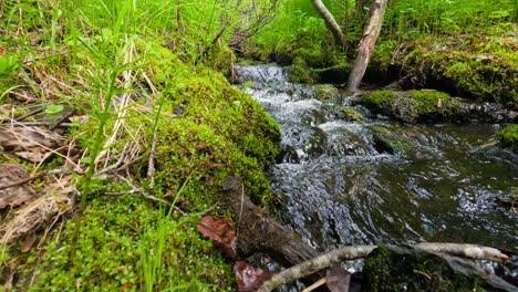 Agua-En-Rápido-Movimiento-En-Un-Pequeño-Arroyo-Del-Bosque-Mientras-El-Agua-Rueda-Sobre-Las-Rocas