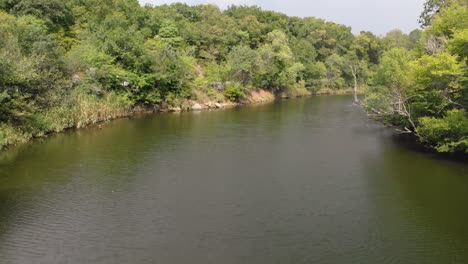 Aerial-shot-by-drone-flying-over-river-in-downstream-direction-surrounded-by-trees-and-greenery,-near-the-car-road-in-Ropotamo-river,-Bulgaria