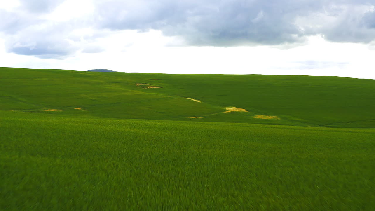 예술과 예술은 아름다운 자연입니다.