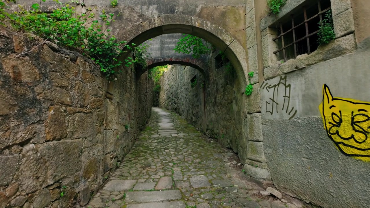 Narrow, historic cobbled alleyway featuring ancient stone walls and arched passages, overgrown with lush greenery in Porto, Portugal. A distinct graffiti cat face is visible on a wall.
