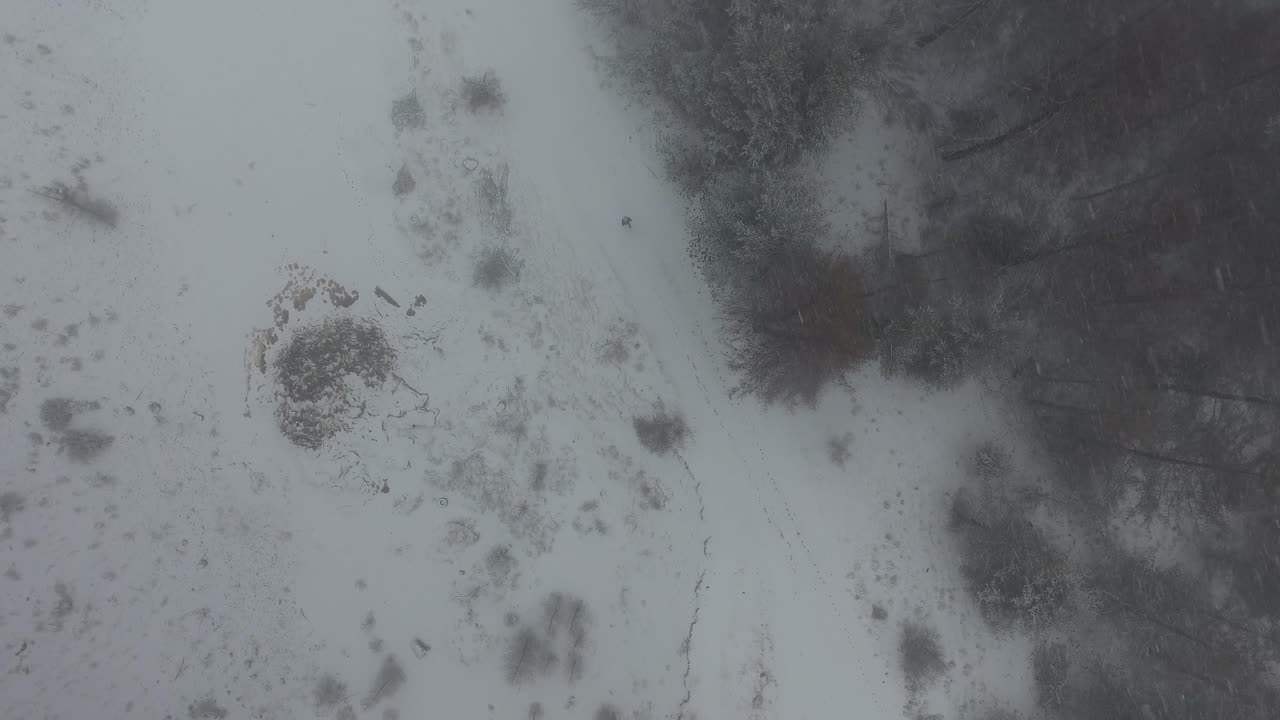vista aérea de un hombre caminando en una tormenta de nieve.