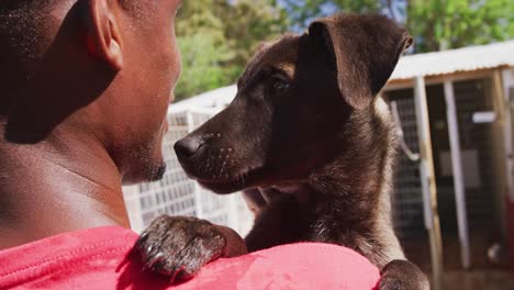 Voluntario-Afroamericano-En-Un-Refugio-Para-Perros-Con-Un-Cachorro