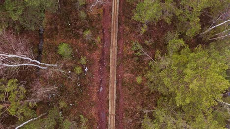 aerial top down ascent revealing a long, narrow wooden plank road through the interior of a boggy forest