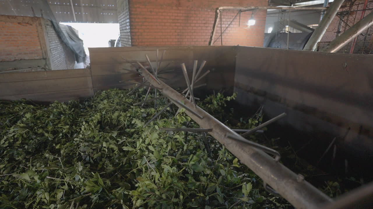 Processing of Traditional Herbal Mate, Argentine Industry and economy