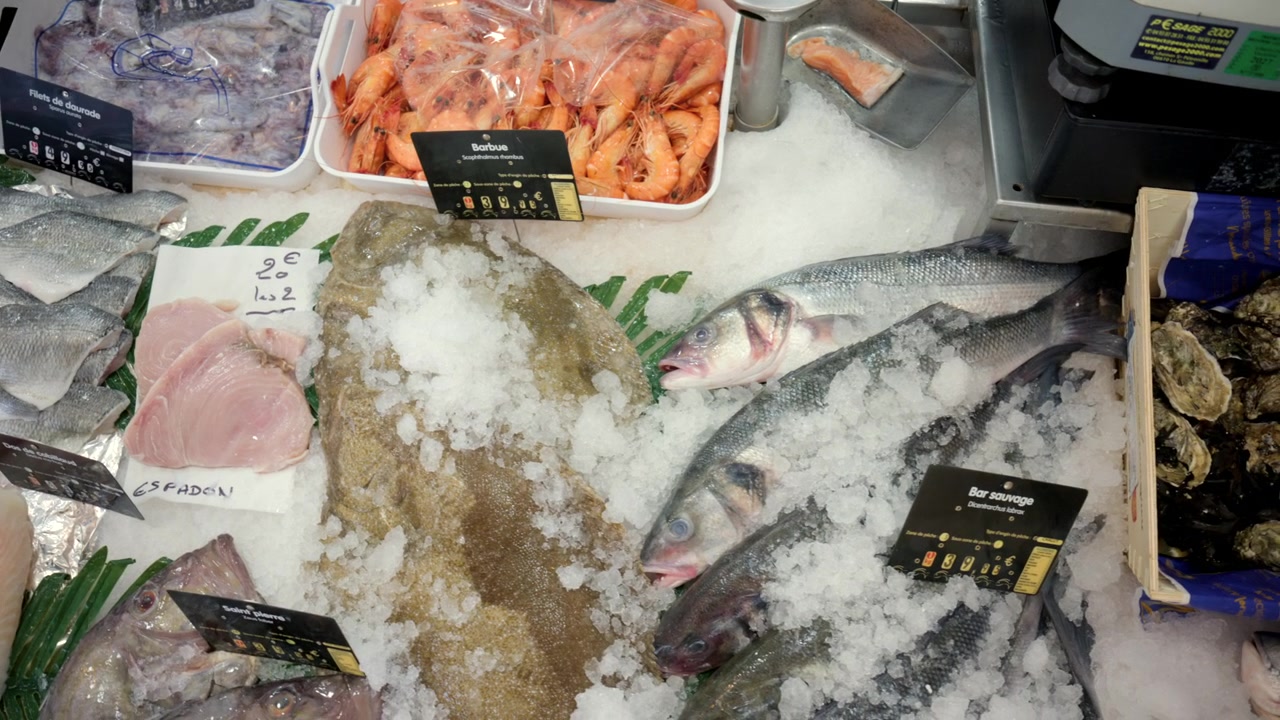 Variety of fresh whole fish, fillets, shrimp, and shellfish presented on a bed of ice at a seafood market stall