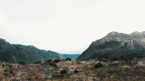 Fliegen-Durch-Naturlandschaft-Mit-Wäldern-Und-Andinen-Im-ökologischen-Reservat-Cayambe-Coca-In-Der-Nähe-Von-Papallacta,-Ecuador