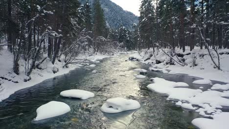 Schöner-Schneeszenenwald-Im-Winter.-Überfliegen-Von-Fluss--Und-Kiefernbäumen,-Die-Mit-Schnee-Bedeckt-Sind.