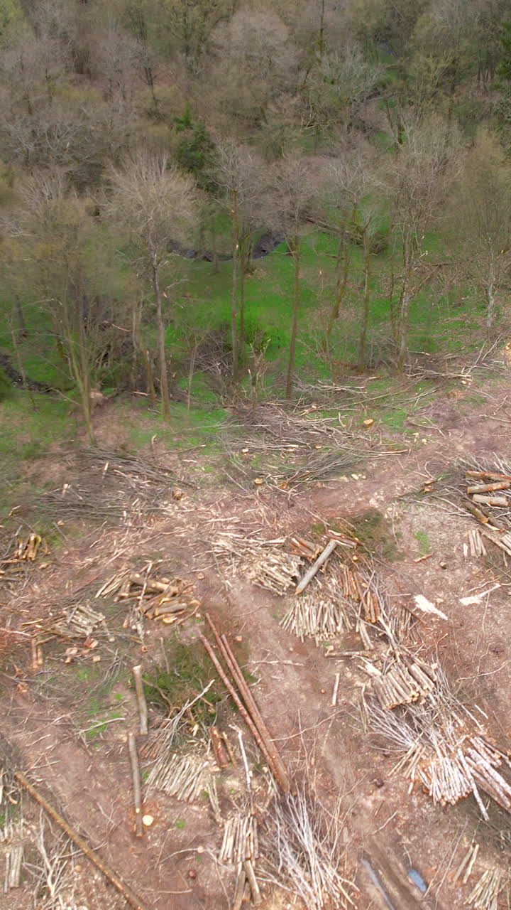 High angle aerial shot showing piles of cut logs and branches in a cleared forest area, highlighting environmental impact and timber industry practices