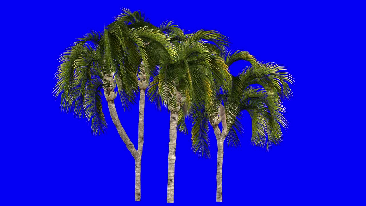 파란 화면에 바람 효과와 함께 3d   클러스터 3d 애니메이션