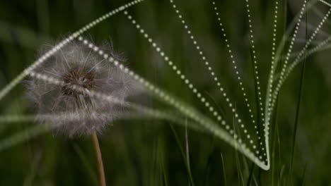 composición digital de la estructura del adn girando contra la flor del diente de león en el campo de hierba