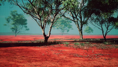 Afrikanische-Savannenlandschaft-Mit-Akazienbäumen