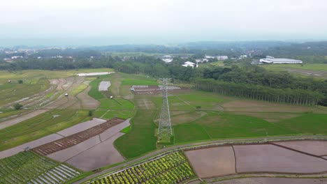 Drohnenaufnahme-Eines-Strommastes-Mitten-Auf-Der-Plantage-Bei-Bewölktem-Himmel