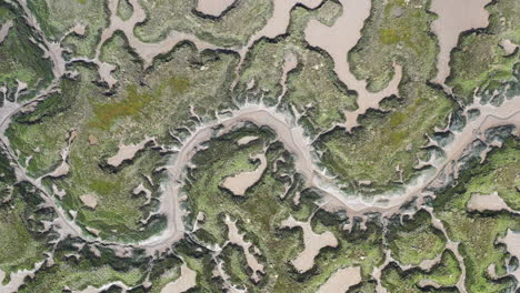 arriba hacia abajo desplazándose de derecha a izquierda del estuario de las marismas saladas en marea baja