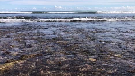 waves on a beautiful tropical beach with coral rock