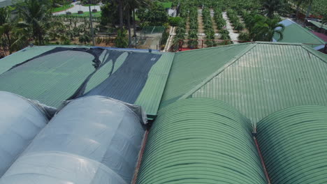 drone shot of dragon fruit garden development center in bagan lalang, selangor