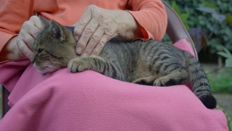 En-Medio-De-La-Morada-De-Su-Aldea,-Una-Dulce-Abuela-Acaricia-A-Un-Lindo-Gato-Gris-Sentado-En-Su-Regazo-Con-Las-Caricias-De-Sus-Amorosas-Manos