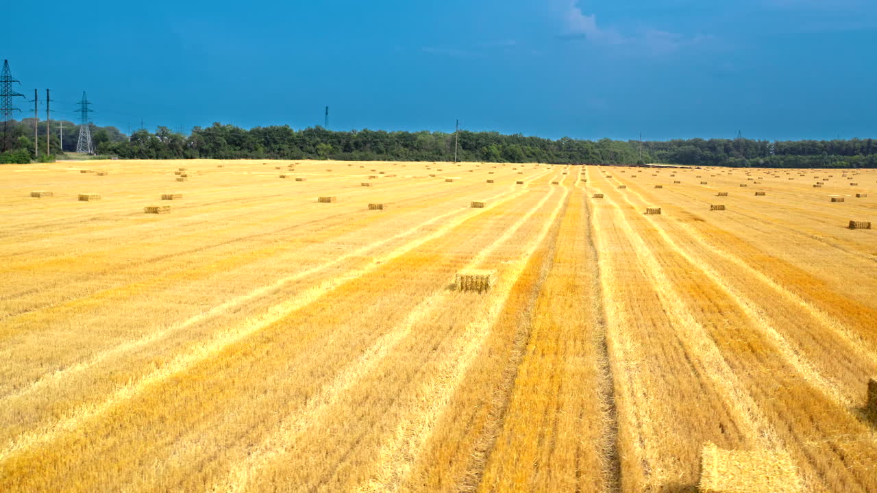 Aerial view of hay bales in meadow. Drone view of golden straw in stacks on dry meadow
