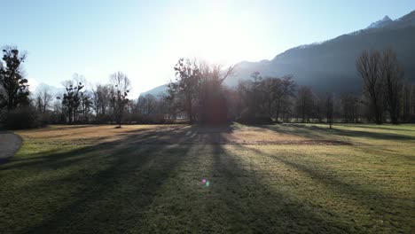 Slw-Vorwärts-Drohnenansicht-Von-Hohen-Bäumen-Und-Büschen-Des-Walensees,-Schweiz-Mit-Alpen-Im-Hintergrund