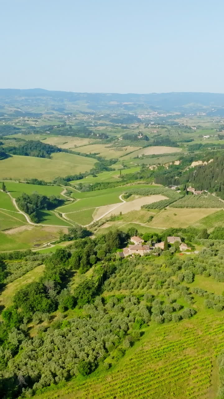 Vertical drone shot of idyllic tuscan homes and vineyards, summer day in Italy