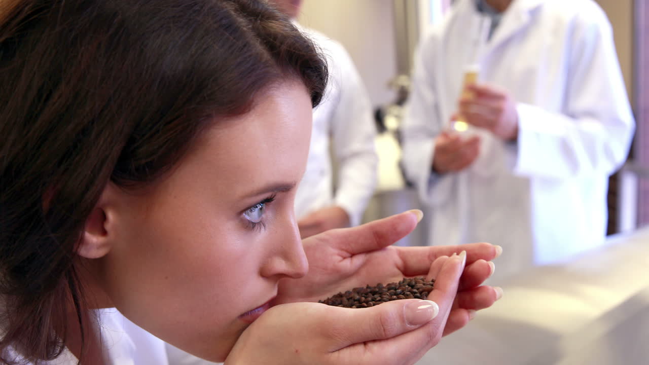 함께 일하는 양조업자 팀