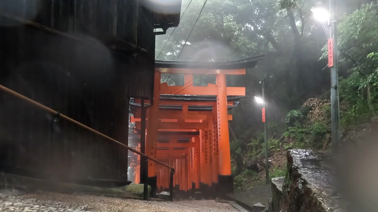 Deszcz pada na ikoniczne czerwone bramy torii i kamienne schody w bujnym leśnym otoczeniu Kioto.