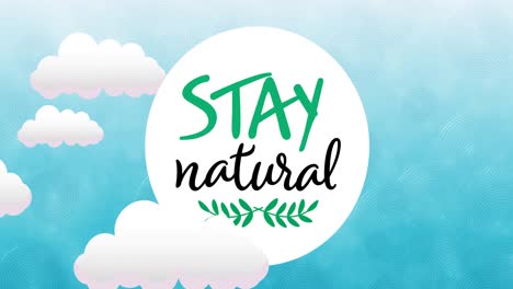 Animation-of-stay-natural-text-and-leaves-logo-on-blue-cloudy-sky-background