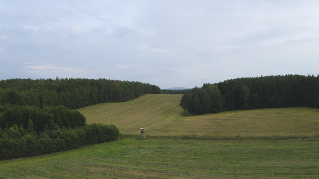 dos pequeños puestos avanzados de madera simples entre bosques densos y un vasto campo agrícola en un paisaje natural típico en chequia en verano, cielo azul arriba, tiro aéreo de 4k