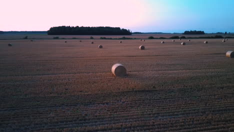 flying above the field with hay rolls sunrise