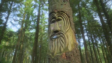 stylised face carved into pine tree trunk in secluded pine forest on summer day with very slow pan