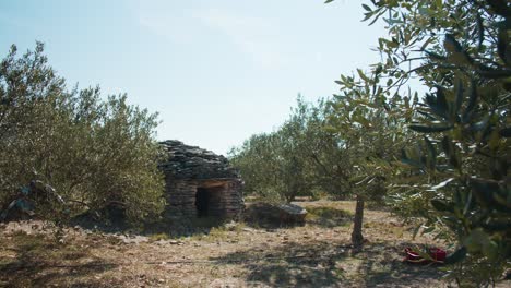 Una-Hermosa-Vista-Del-Olivar-Y-La-Antigua-Casa-De-Piedra