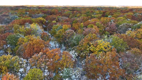 Avanzando-Sobre-Los-Exuberantes-Colores-Del-Otoño-Y-La-Fresca-Capa-De-Nieve