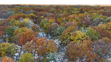 empujando hacia adelante sobre los exuberantes colores de otoño y la cubierta de nieve fresca