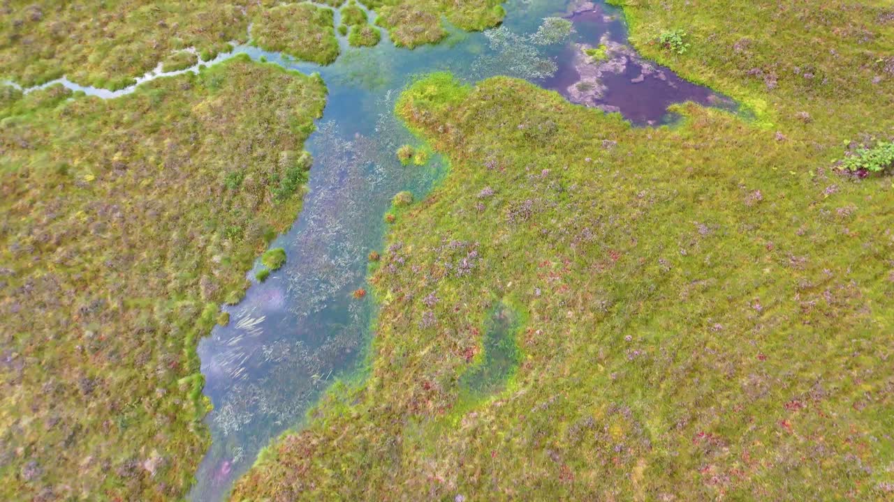 Drone camera glides above lush wetland with winding streams and ponds in the Scottish Highlands, under soft daylight with vibrant green hues