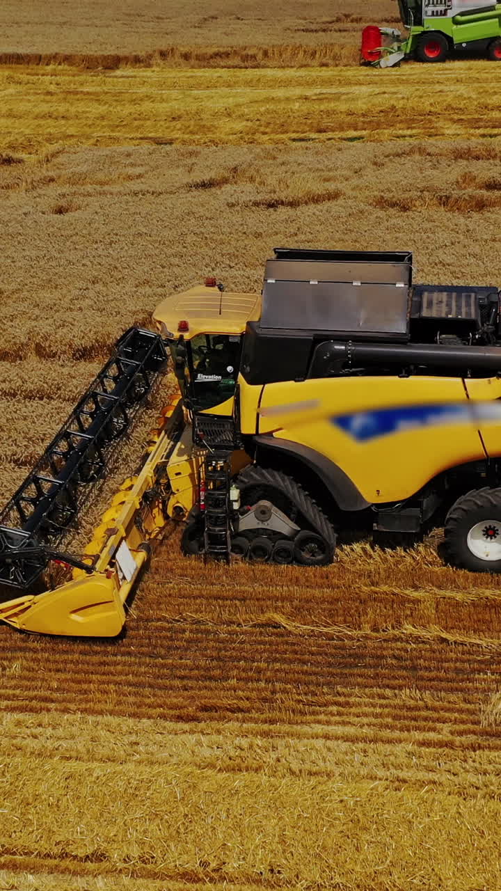 Grain harvesting combine in a sunny day. Yellow field with grain. Agricultural technique works in field. Vertical video