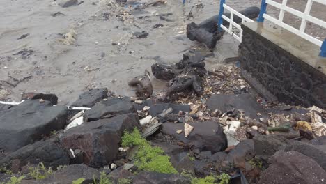 basura se lava en la costa de mumbais