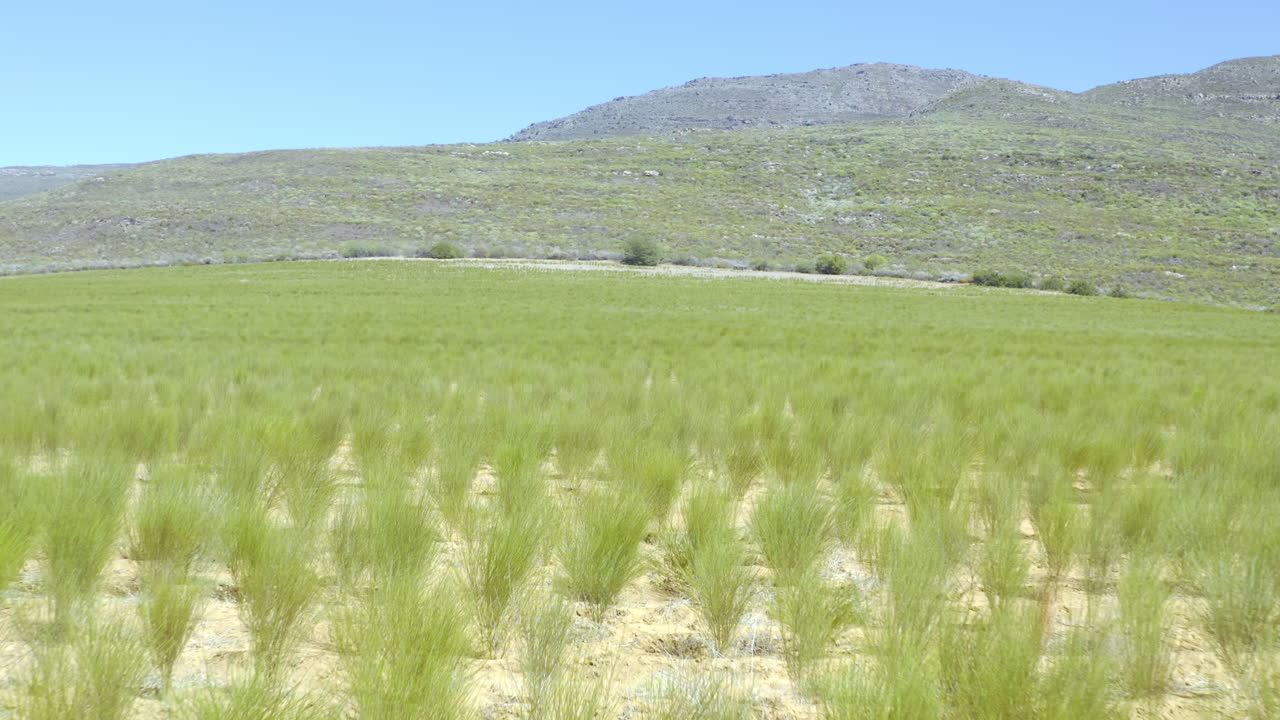 donde la vida florece