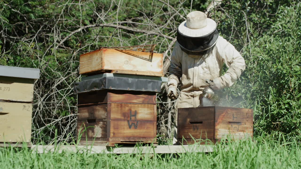 ⁇ 벌을 기르는 것은 더 큰 선을 위한 것입니다.