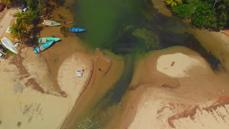 descending aerial footage from a rainforest scene to a river flowing into the sea on the caribbean island of trinidad and tobago