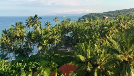 camper-van-parked-on-a-tropical-island-coconut-field-with-oceanfront-views-in-Bali-at-sunset,-aerial