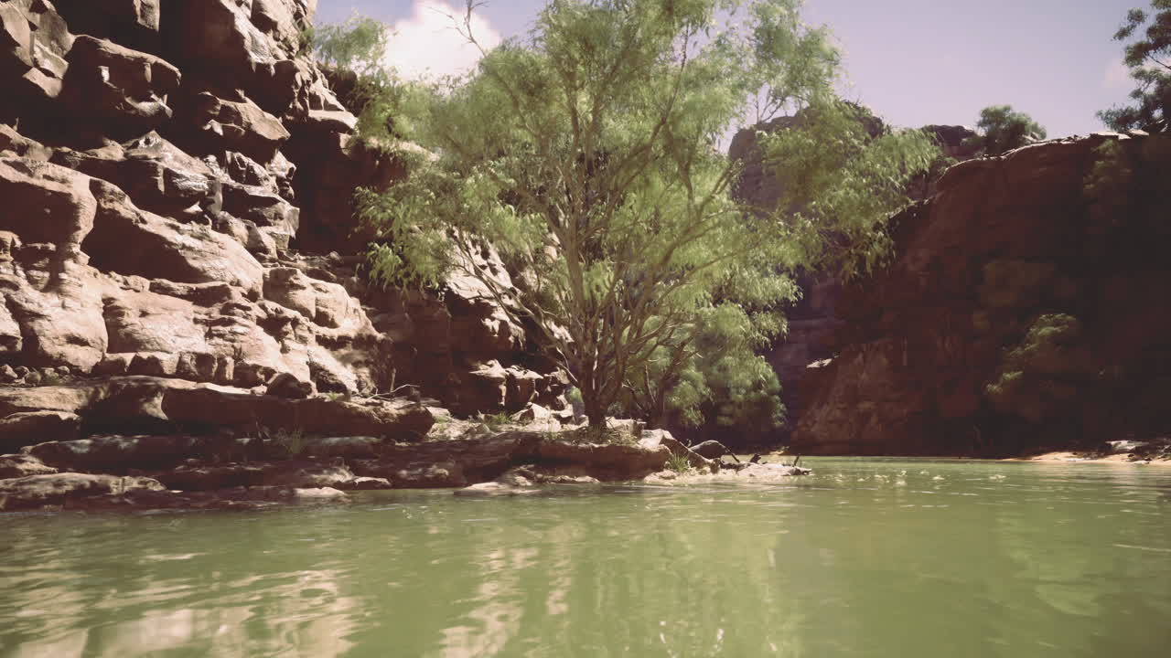 Albero verde brillante vicino a un fiume calmo, circondato da scogliere rocciose durante il giorno