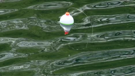 fishing rod with a bobber floating over rippled freshwater lake