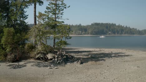 the beautiful penrose state park in washington surrounded with green trees during daytime - wide shot