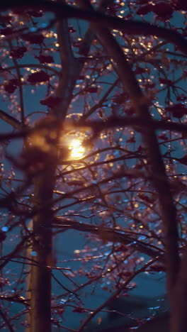 primer plano de hojas de otoño heladas y bayas rojas cubiertas de hielo, iluminadas por el reflejo de la luz dorada, creando una atmósfera de invierno serena con un fondo suave y brillante