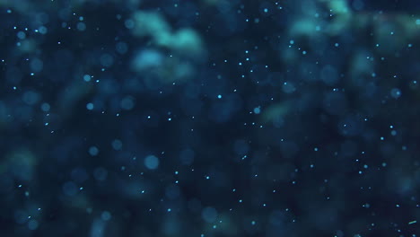 an underwater shot of particles floating and sparkling - bokeh ball texture can be seen in front of a coral reef